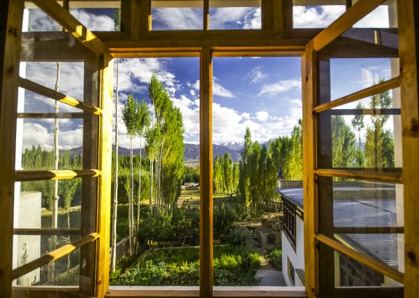 Wood Window Replacement in Bulverde